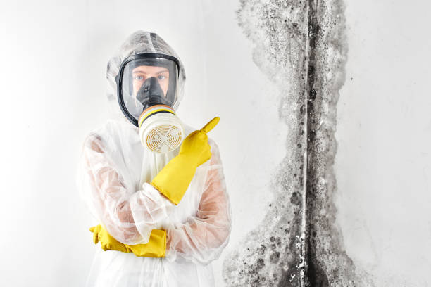 Best Emergency Mold Remediation  in Slocom, AL